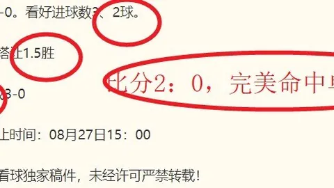 2026最新：沙特利雅得机场遭袭，12人遇难309人受伤